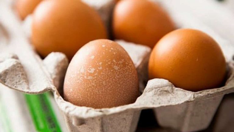 لتحمي قلبك..دراسة حديثة تكشف كمية البيض التي يمكنك تناولها أسبوعيًا لتحمي قلبك..دراسة حديثة تكشف كمية البيض المسموح تناولها أسبوعيًا watanserb.com