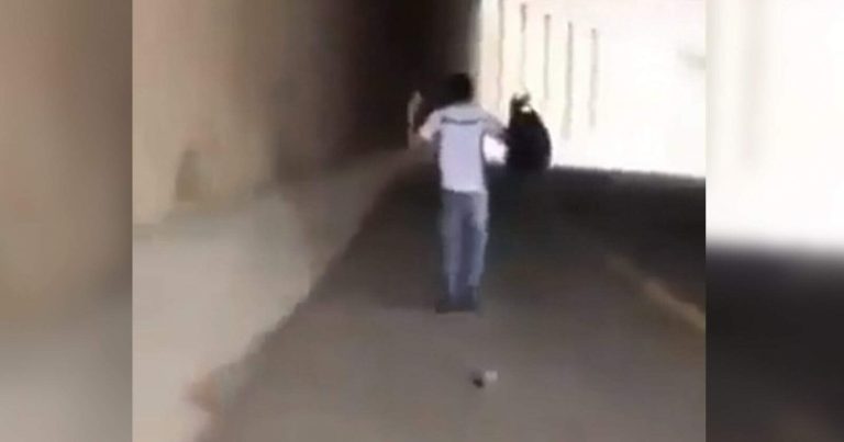 فيديو مؤلم يوثق غدر قوات الاحتلال بشاب فلسطيني.. أعطوه الأمان ثم باغتوه غدر الاحتلال بشاب فلسطيني watanserb.com