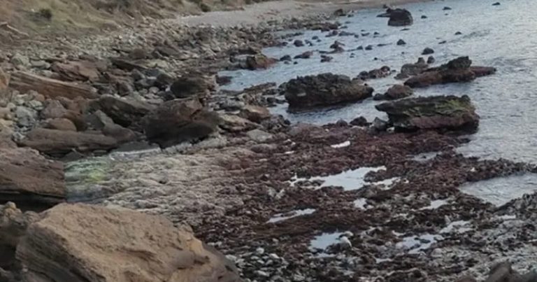 تراجع منسوب مياه البحر الأبيض المتوسط watanserb.com