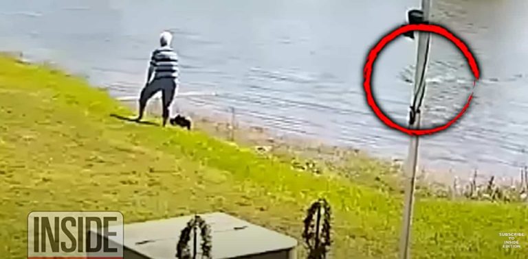فدت كلبها بنفسها.. فيديو مرعب لتمساح يمزق امرأة أمريكية بفلوريدا انقضاض تمساح على مسنة أمريكية watanserb.com