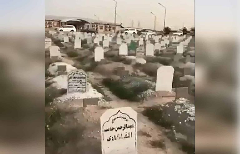 شخص يجمع الفقع مقبرة الصليبيخات watanserb.com