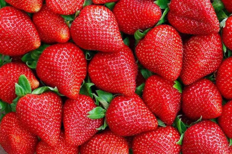 الفراولة..هل هي جيدة لتبييض الأسنان؟ watanserb.com