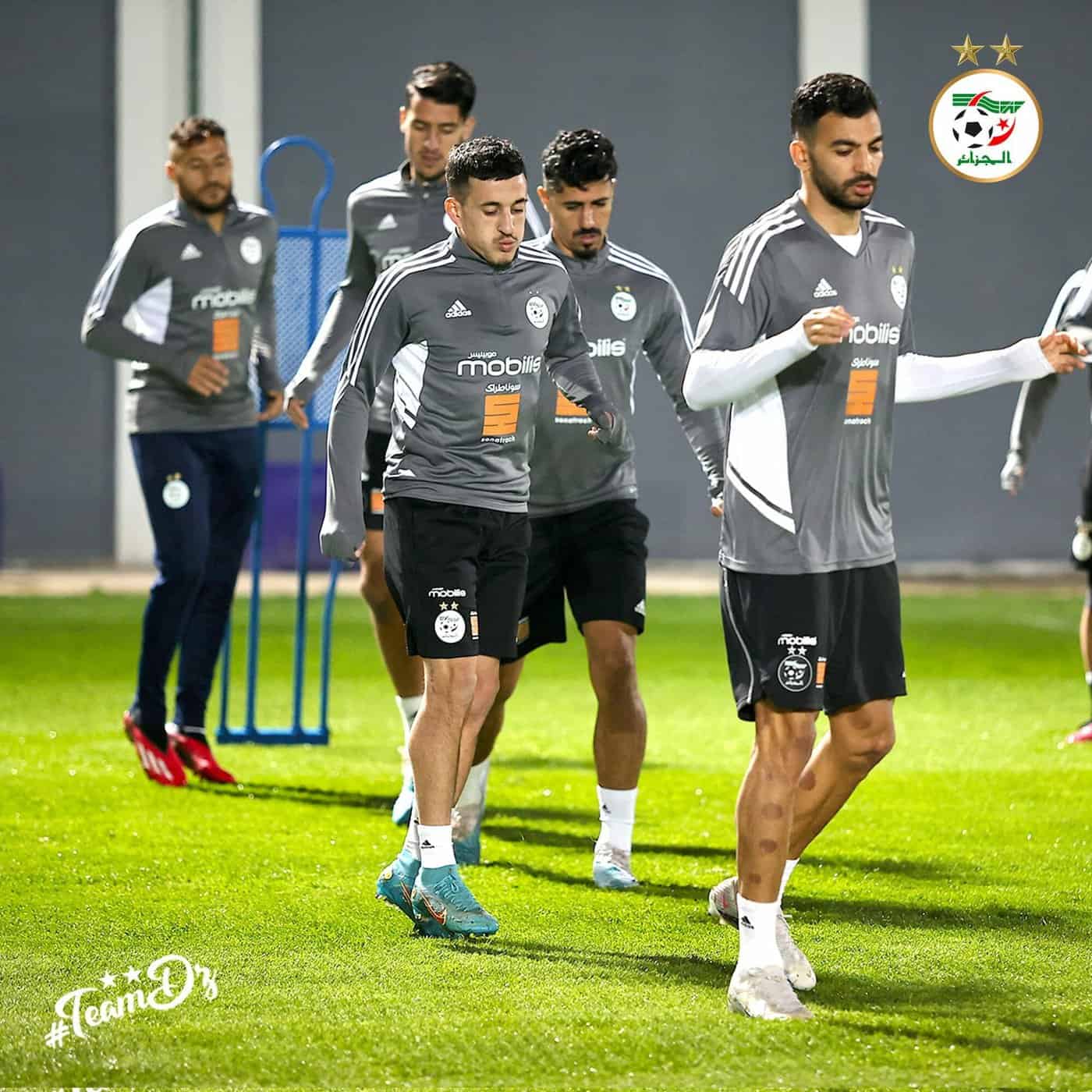 تدريبات منتخب الجزائر