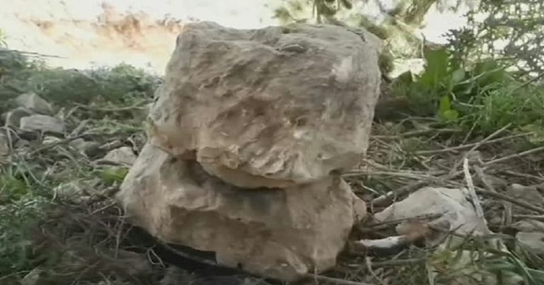 جهاز التجسس الإسرائيلي في لبنان watanserb.com
