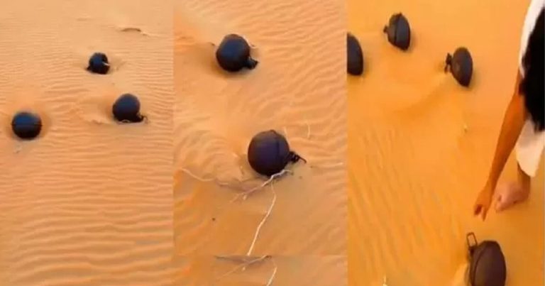 ظهور كرات حديدية غريبة في صحراء الربع الخالي يثير حيرة السعوديين ظهور كرات حديدية غريبة في السعودية watanserb.com