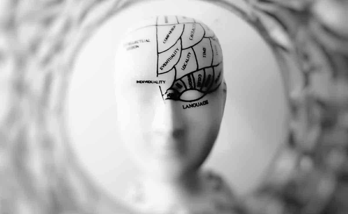 أدمغة الأشخاص الأذكياء شديدة الاستثارة