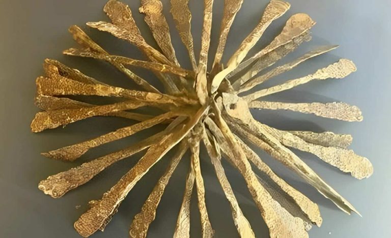 سيدة تعثر على كنز نادر عمره 1000 عام وهي تنظّف منزل والدها! (شاهد) كنز حديدي نادر عمره 1000 عام من عصر الفايكنج watanserb.com