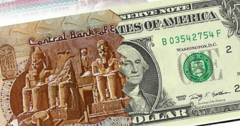 سعر الدولار 40 جنيها في بنوك مصر watanserb.com