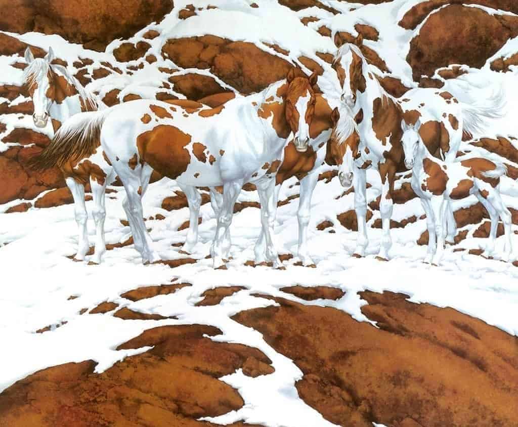 اكتشاف الخيول في الصورة