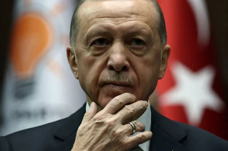انتخابات تركيا.. قناة العربية تصف أنصار أردوغان بـ”المتشددين” وهجوم ناري (فيديو) رجب طيب أردوغان watanserb.com
