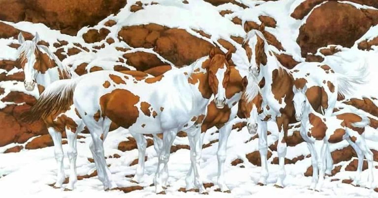 في الصورة 5 خيول.. لديك عيون صقر إذا اكتشفتها في 11 ثانية اكتشاف الخيول في الصورة watanserb.com