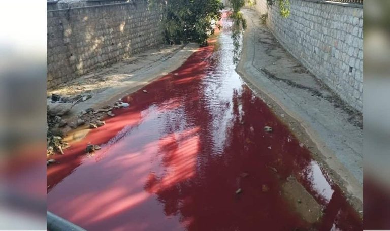 ما سر المشهد المخيف لـ نهر بردى في سوريا؟.. صور حديثة فجرت الجدل تغير لون مياه نهر بردى watanserb.com