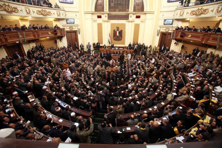 هجوم برلماني على حكومة السيسي: تحصل على نصف مصروف الأطفال لتسد ديونها (فيديو) مجلس النواب المصري watanserb.com