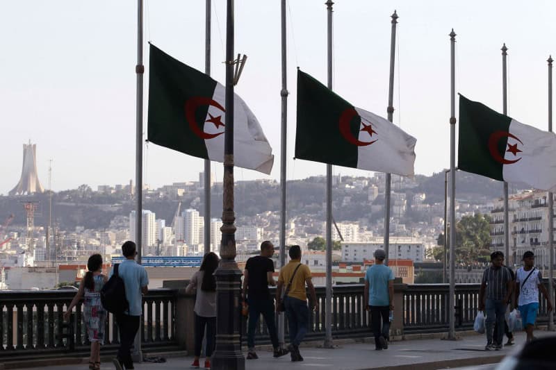 الجزائر