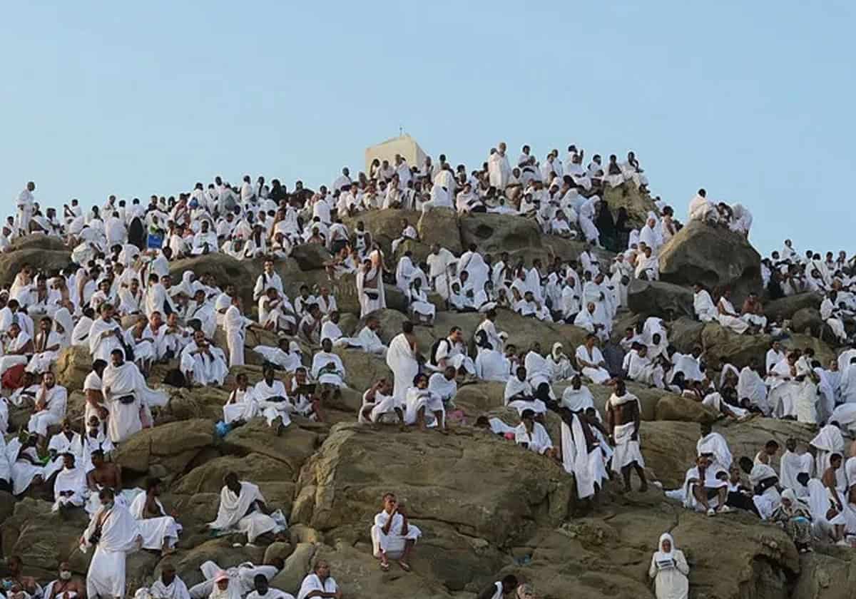 عدد الحجاج