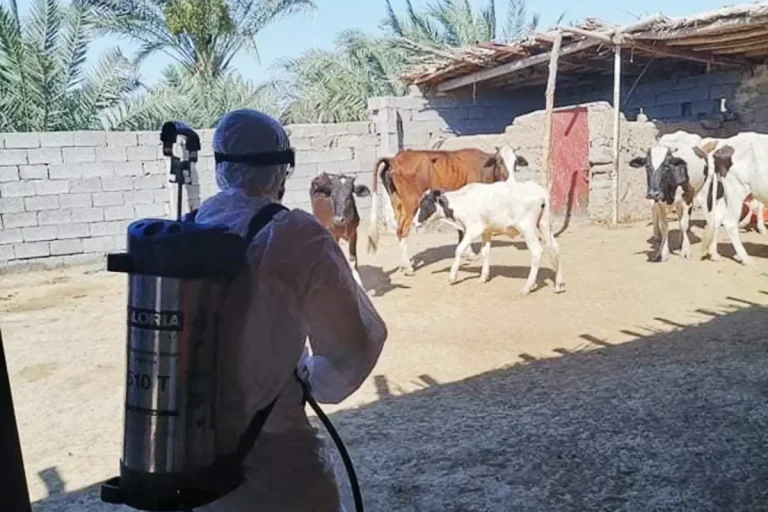 الحمى النزفية في العراق