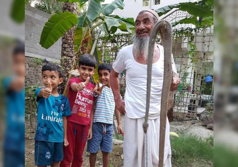 لماذا دعت عُمان مواطنيها لعدم قتل الثعابين "قدر الإمكان"؟