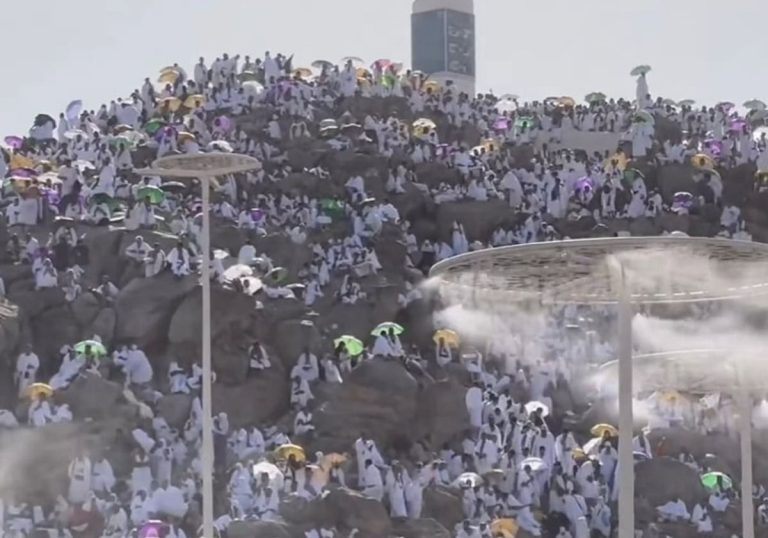 بعد وقوفهم بعرفة.. عدد الحجاج الرسمي لعام 2023 ومن أين قدموا؟ بعد وقوفهم بعرفة.. عدد الحجاج الرسمي لعام 2023 ومن أين قدموا؟