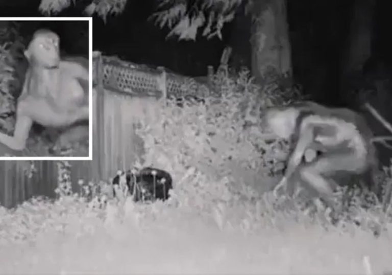 مقطع فيديو لكائنات فضائية في لاس فيغاس يحصد ملايين المشاهدات.. حقيقة أم خيال؟ مقطع فيديو لكائنات فضائية في لاس فيغاس يحصد ملايين المشاهدات.. حقيقة أم خيال؟