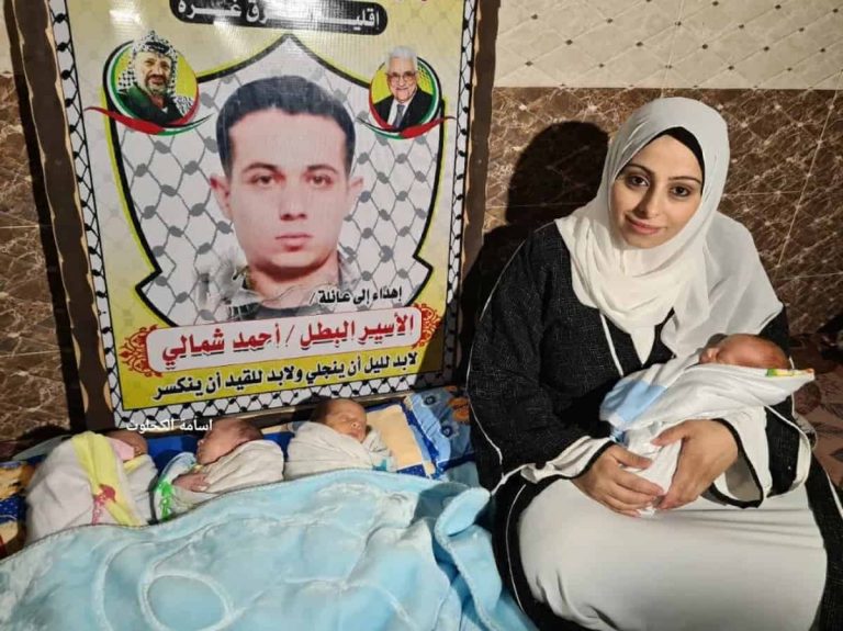 سفراء جدد للحرية.. قصة 4 توائم فلسطينية وُلدوا بحيوانات منوية مهربة ولادة 4 توائم عبر النطف المهربة