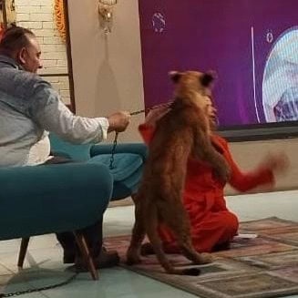 مادلين طبر