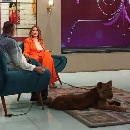 مادلين طبر