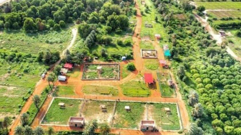 يقع السودان لإنقاذ الحيوانات على بعد 20 دقيقة بالسيارة من وسط الخرطوم