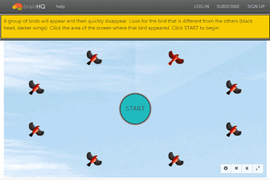 اختبار Brain HQ