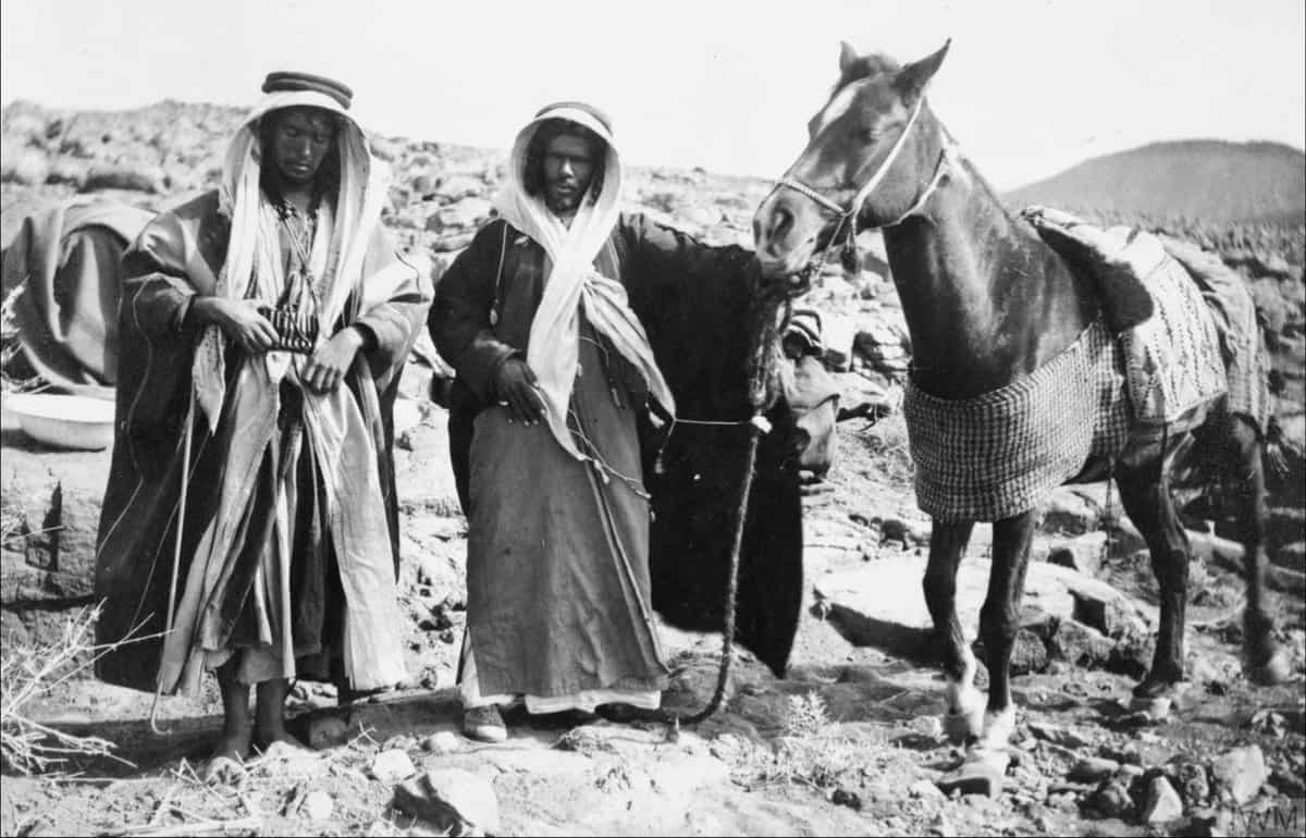 العتوب