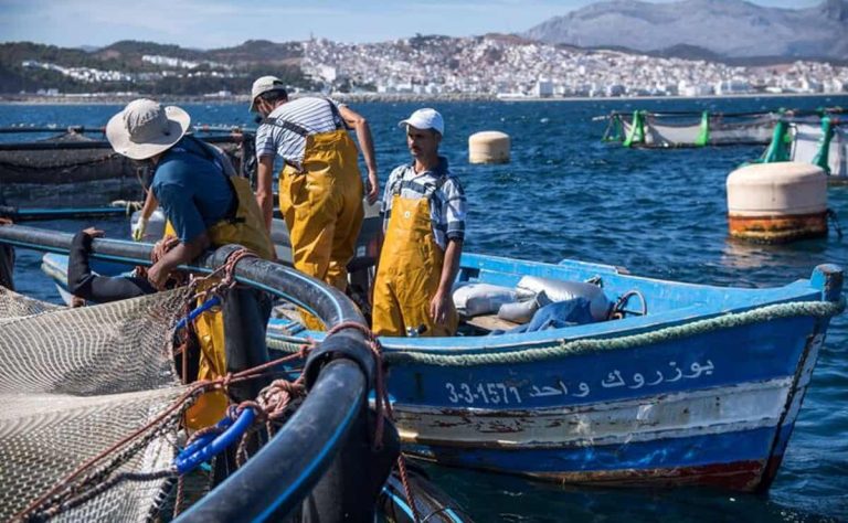 انتهاء شراكة الصيد يثير أزمة بين المغرب والاتحاد الأوروبي.. من الخاسر الأكبر؟ انتهاء شراكة الصيد يثير أزمة بين المغرب والاتحاد الأوروبي