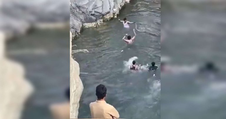 ثعبان في شلال الحمدة