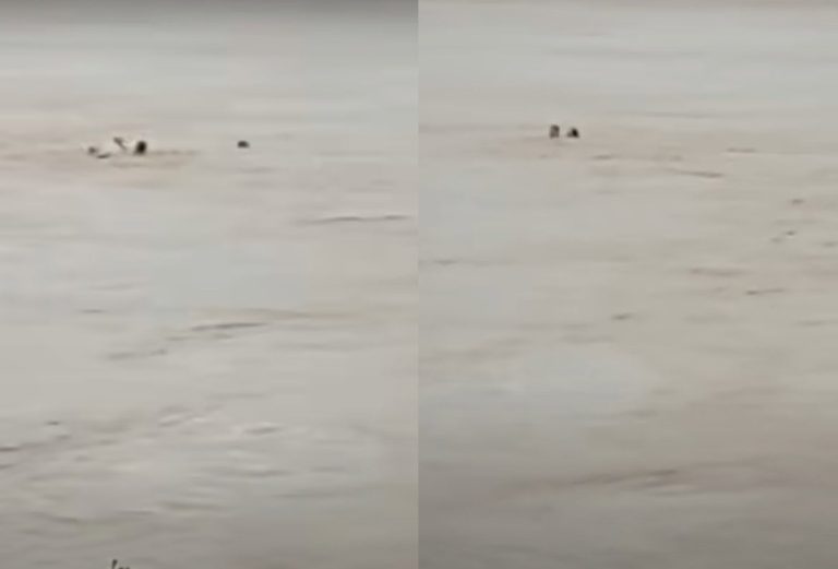 شاب جزائري يتمكن من إنقاذ فتاة فرنسية رمت بنفسها في نهر غارون