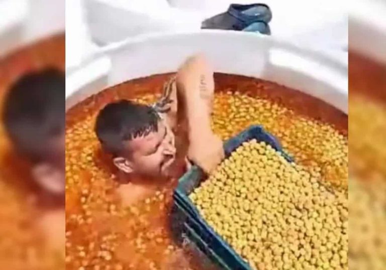 صادم وفجر غضب الأتراك.. فيديو مقزز من داخل منشأة لإنتاج الزيتون