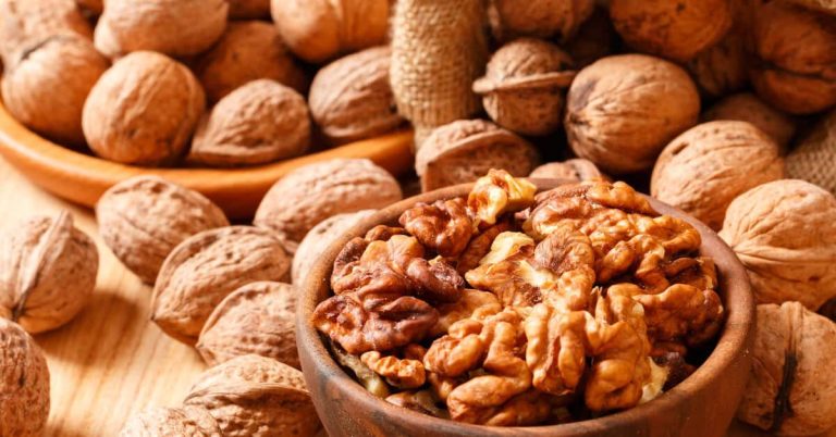 الجوز يقلل فرص الإصابة بمرض السكر الجوز
