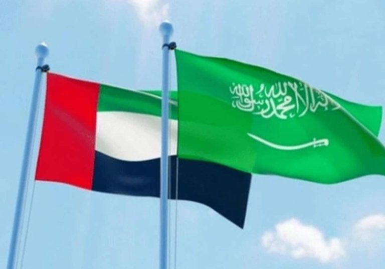 إهانة سعودية صريحة للإمارات.. "قرقاش" يرد وصحيفة إماراتية تتساءل عن المغزى والتوقيت