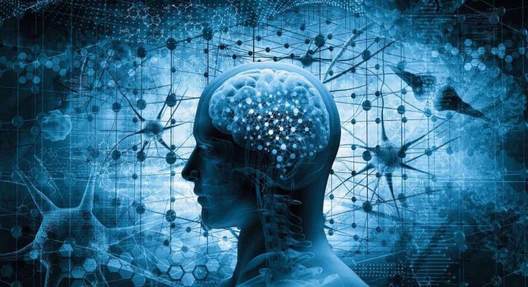 ماذا يجب أن نأكل لتقوية الذاكرة والمحافظة على صحّة الدماغ؟ المحافظة على صحة الدماغ
