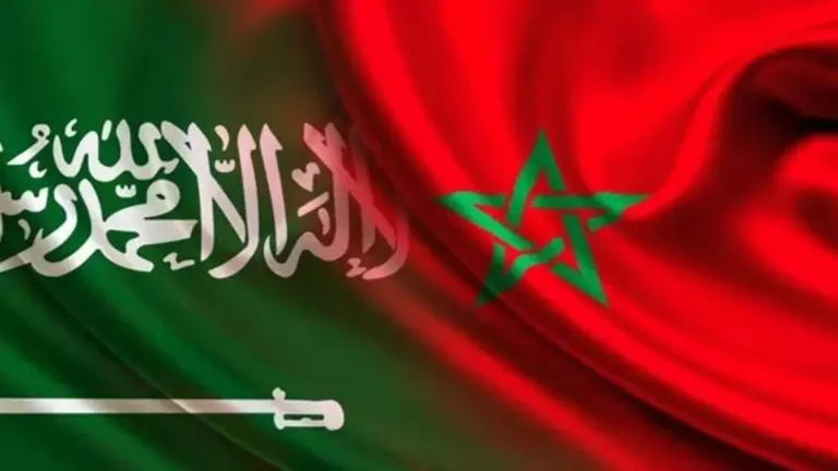 نظرة تشفي وسخرية المندوب المغربي في الأمم المتحدة من نظيره السعودي بعد هزيمة بلاده الساحقة في المونديال المغرب والسعودية