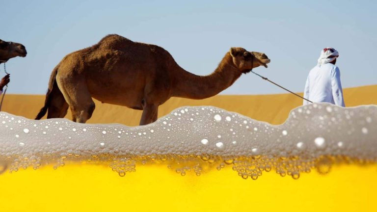 بول الإبل