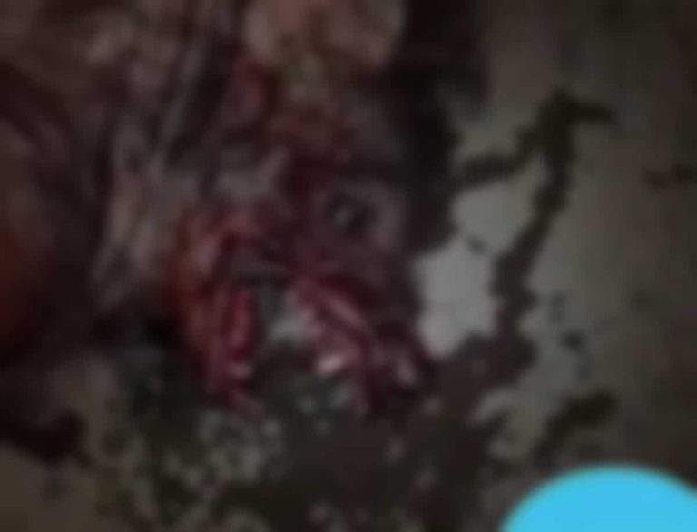 ظهور ذئب على شكل إنسان في اليمن.. حقيقة مقطع أرعب مواقع التواصل مستذئب في اليمن