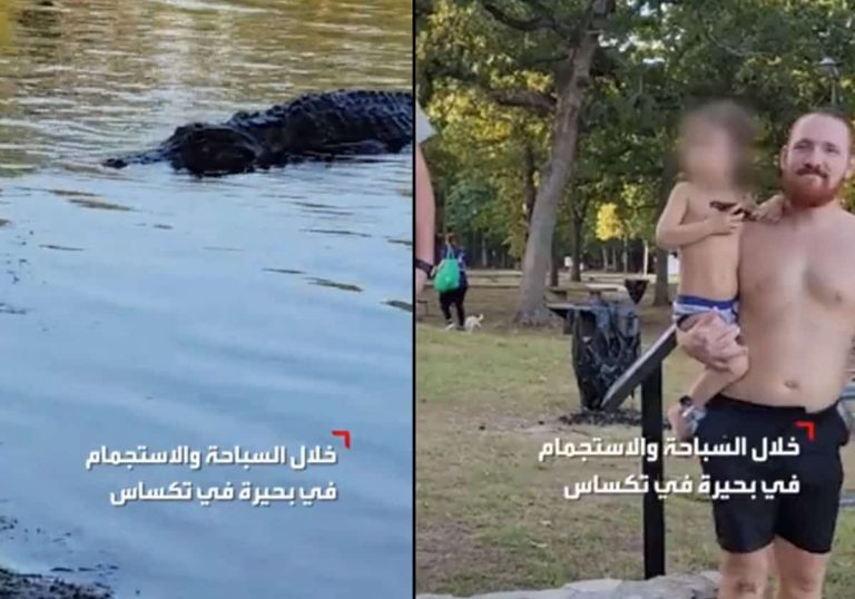 تمساح يهاجم فتيات يسبحن ضمن بحيرة جنوبي الولايات المتحدة