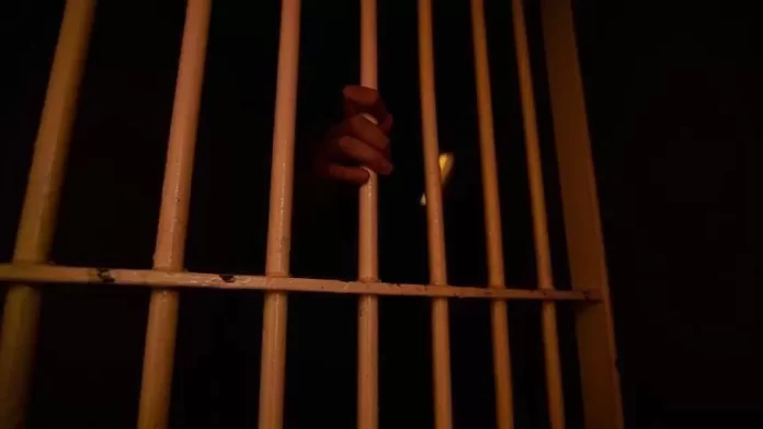 لم تكن آلاء ابنة الـ 12 عاماً تتوقع للحظة أن رحلتها مع والدها إلى لبنان، ستكون الرحلة الأخيرة قبل أن يتم اعتقاله أمام عينيها على الحدود السورية -اللبنانية ليغيب خلف الشمس في زنازين النظام.