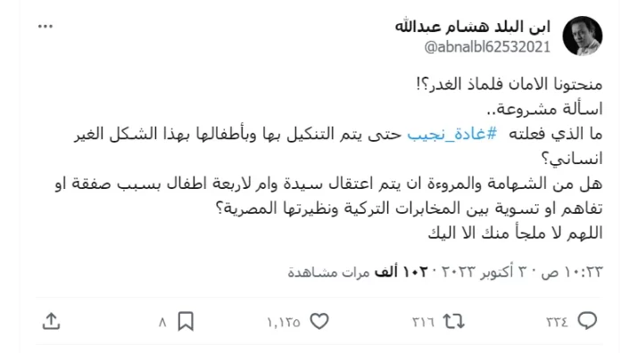 فيديو مسرب يوثق لحظة اعتقال غادة نجيب في تركيا
