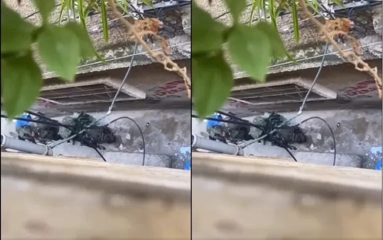 جنود الاحتلال في أحد أزقة مخيم بلاطة