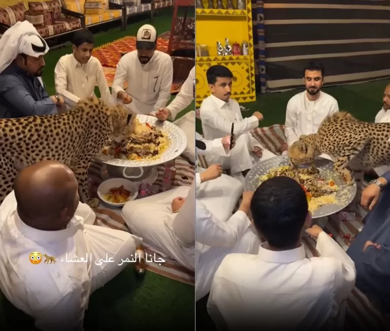 فهد يتناول الكبسة مع شبان خليجيين
