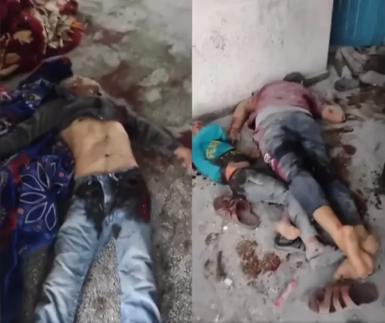 مجزرة إسرائيلية مروعة في مدرسة الفاخورة شمالي غزة.. لقطات لا يتحملها قلب جثامين شهداء في قصف مدرسة الفاخورة في مخيم جباليا