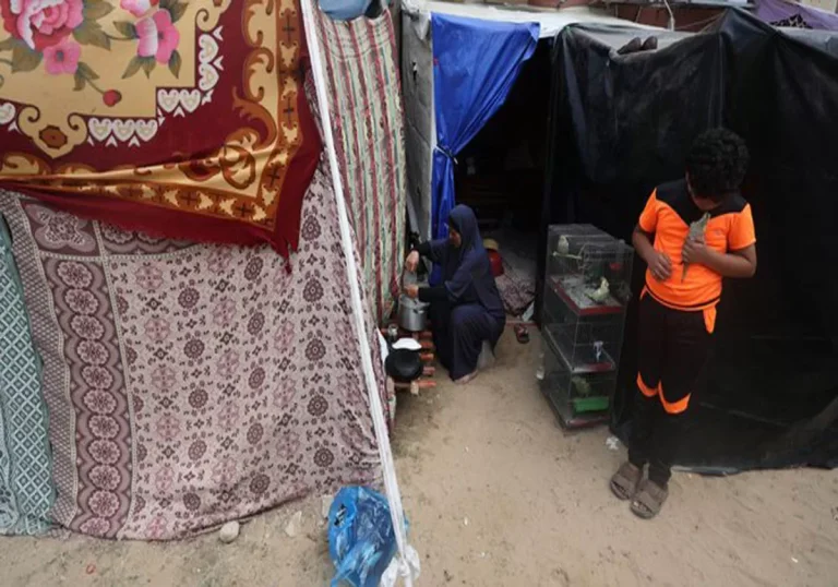 “ولا جاكيت ولا بنطلون معي.. بنشحت من الناس”.. ظروف قاسية يعيشها النازحون الفلسطينيون داخل مراكز الإيواء بغزة (شاهد) النازحين الفلسطينيين