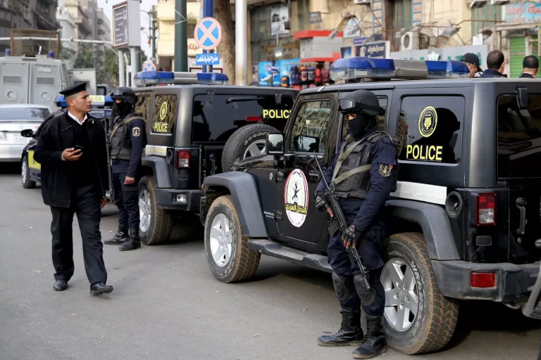 مصر.. نظام السيسي يعتقل نشطاء دوليين داعمين لغزة وهذا مصيرهم احتجاز نشطاء دوليين في مصر