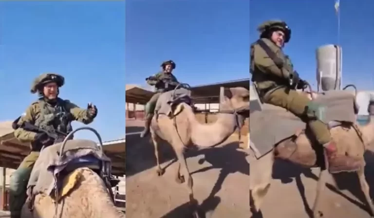 جندي اسرائيلي يسرق جمل فلسطيني