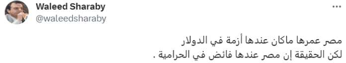 نائب رئيس المجلس الثوري المصري سابقا وليد شرابي يعلق على الأزمة المصرية