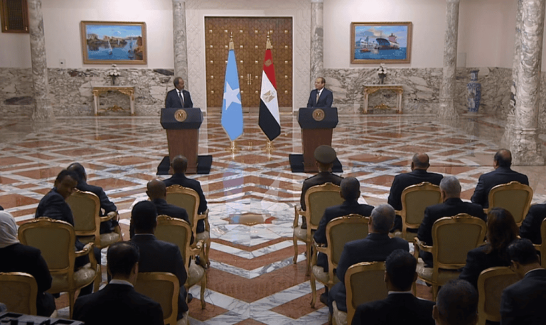 السيسي يوجه رسالة للمصريين مستشهداً فيها بدولة الصومال، كمثال على صعوبة عودة الدول غير المستقرة إلى وضعها الطبيعي